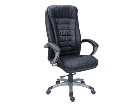 Director Chair 12