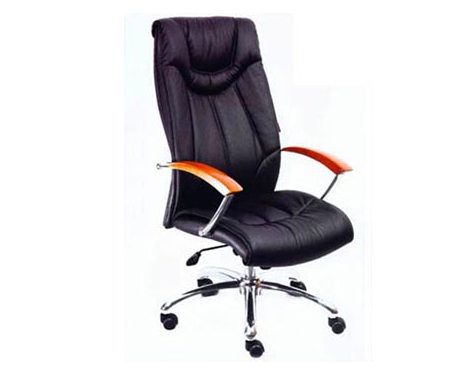 Director Chair 22